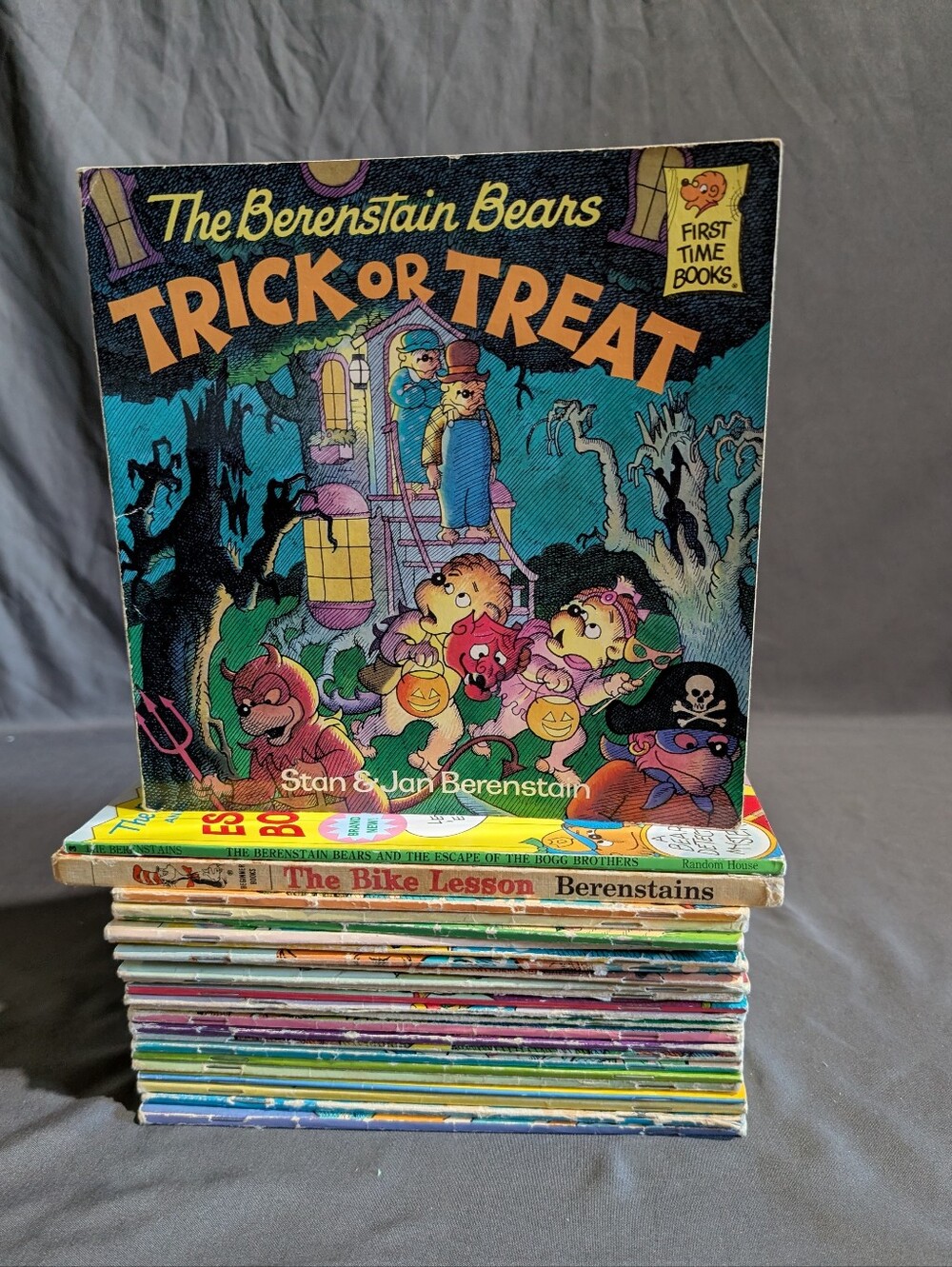 Berenstain Bears Illustrated Books Lot Of 25 Children